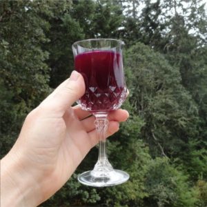 Beet Kvass